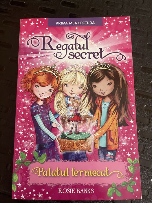 Regatul secret - carti pentru copii 6-10 ani