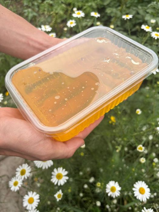 Домашний мёд от наших пчёл!