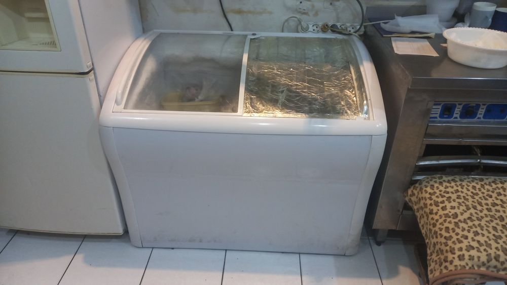 Продам морозилку