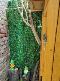 Panou, verdeață artificial decor perete gard viu