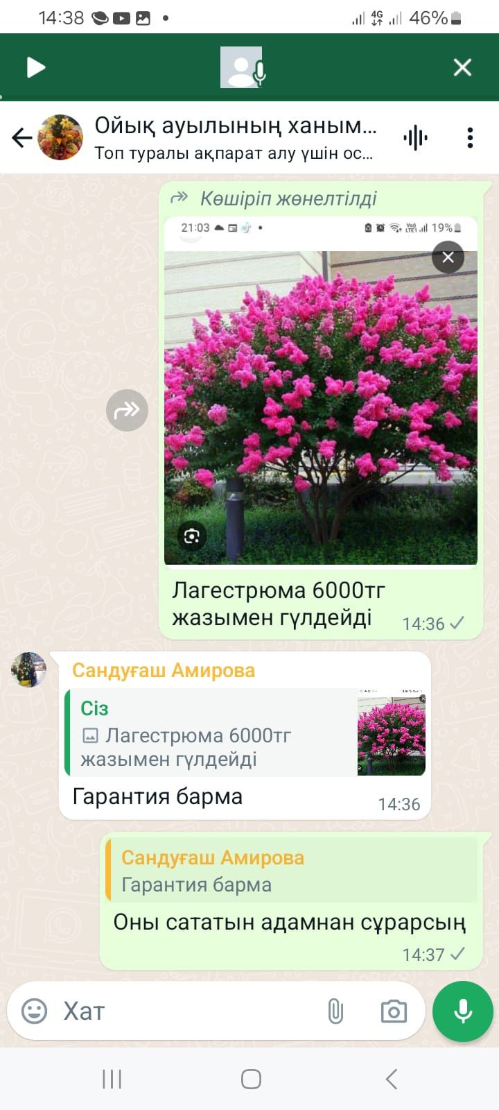 Саженцы всех видов