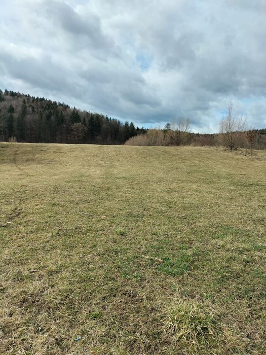 Teren de vânzare Oșlobeni