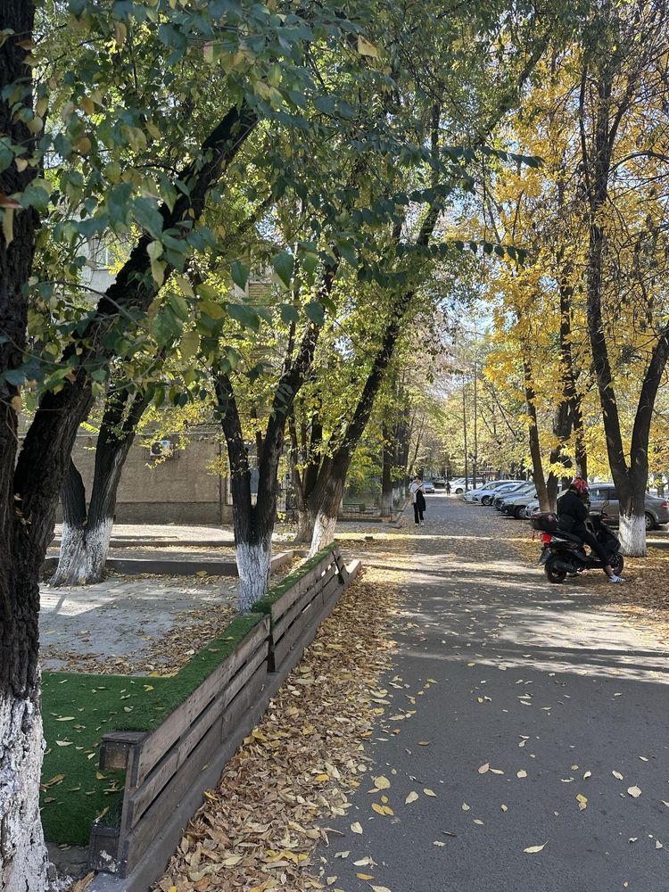 Сдается круглосуточные помещения в здании бц