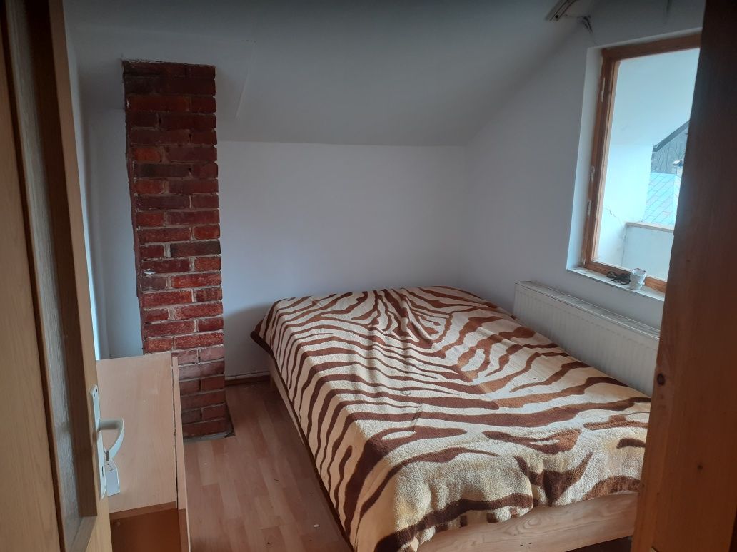 Cabana la munte  în tarcau
