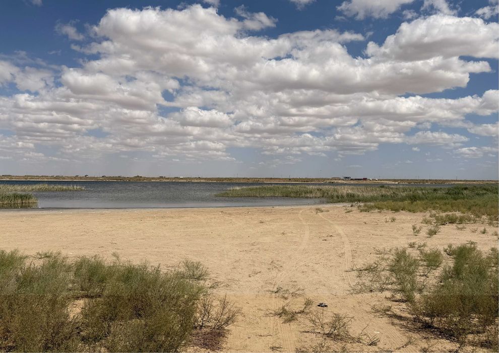 Тез-арада "Ашшы-кол" бойында жер майданы сатылады!