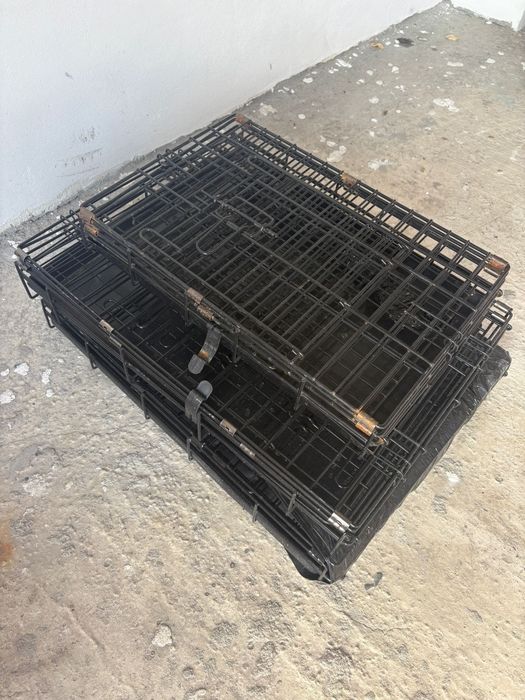 Vand custi transport