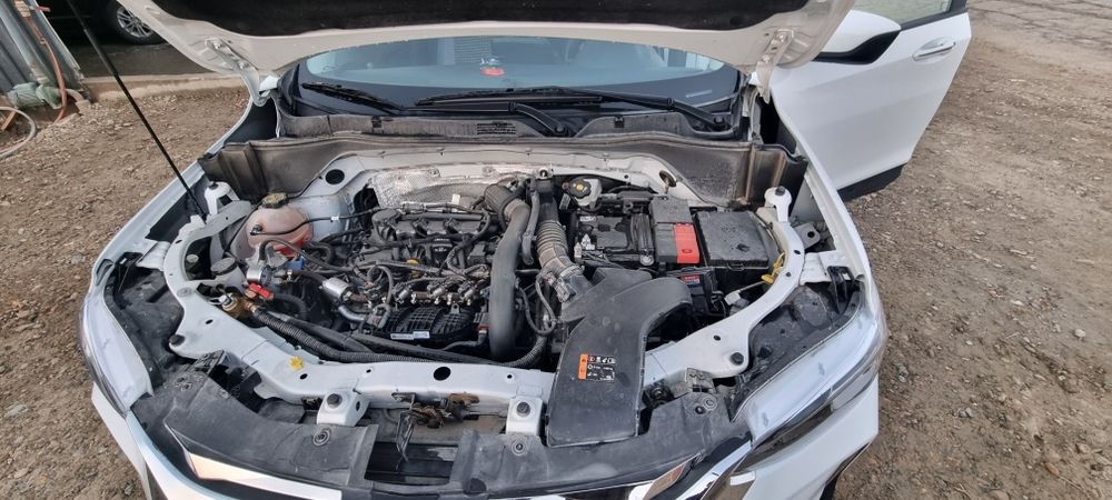 Tracker 2 LTZ, 2024, metan4, 100%rodnoy