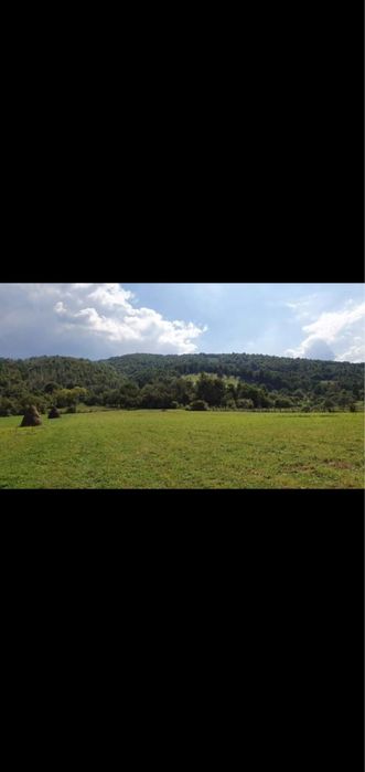 Vand teren in comuna Salciua de Sus, jud Alba