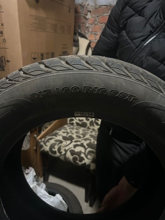 зимняя шипованная шина
