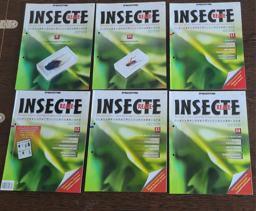 Insecte (reale) in rasina colectia DeAgostini