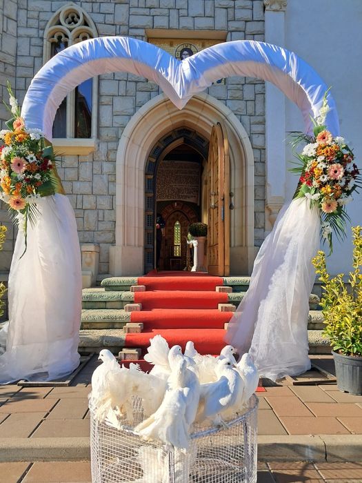 Închirieri porumbei la evenimente