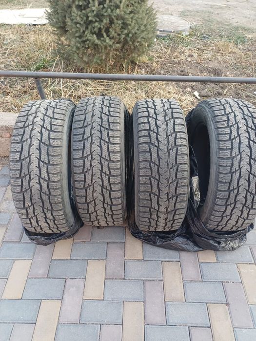 Шины Nokian hakkapelitta