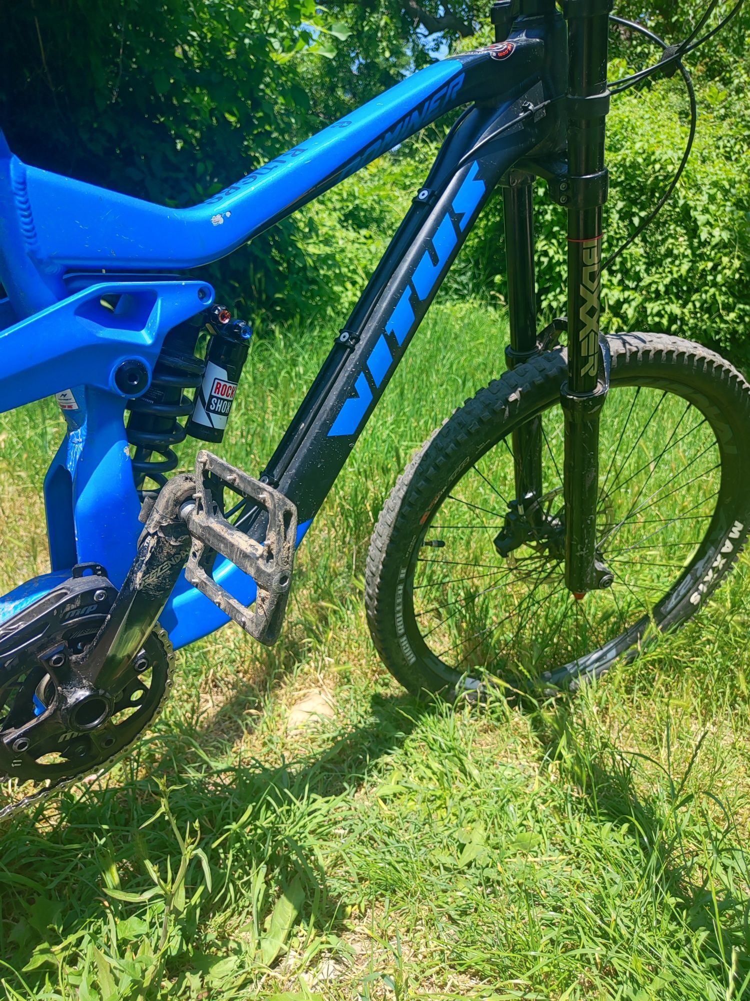 Vitus domminer 2018
