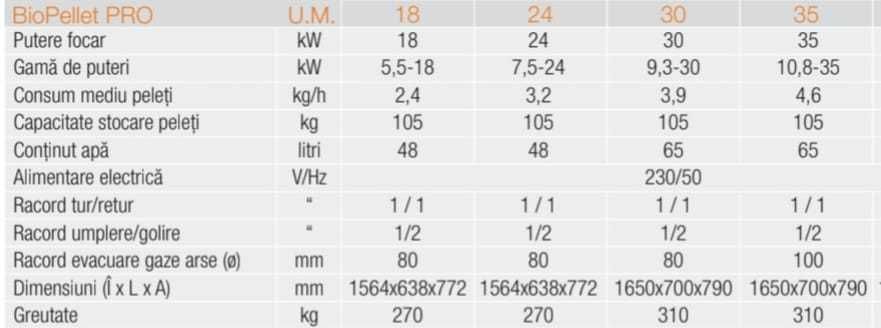 Centrala Ferroli Biopellet PRO 24 Kw Peleti