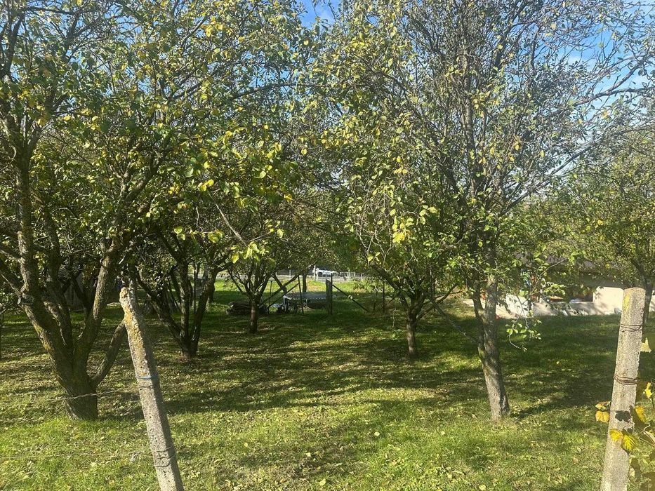 teren de vanzare in Popricani