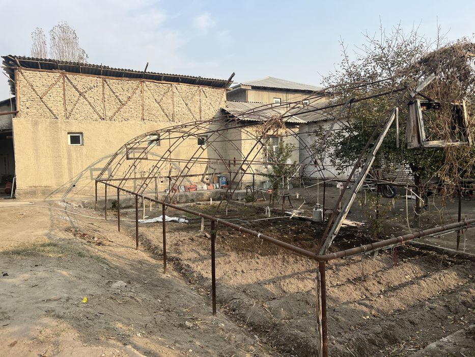 tayyor parnik almaturadan 22 li