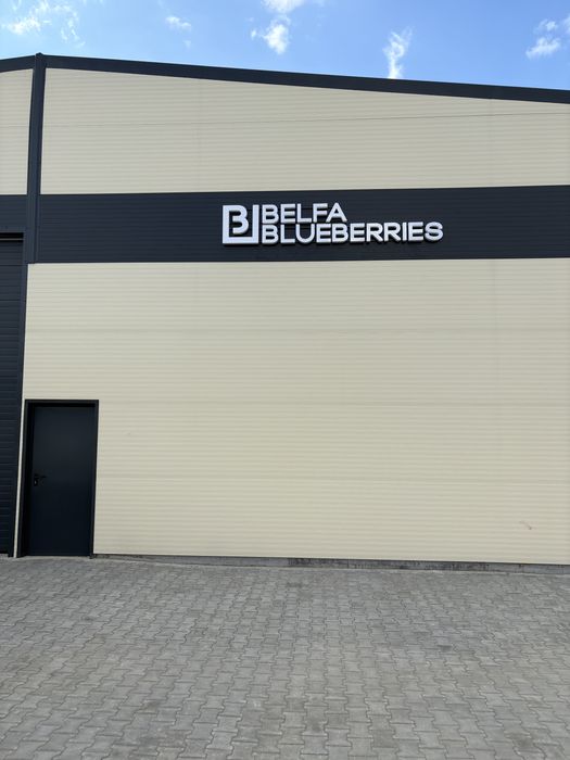 Casete luminoase / litere luminoase