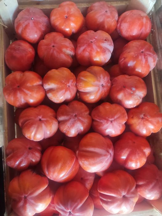 Xurmo sotiladi xar xil sortidan bor