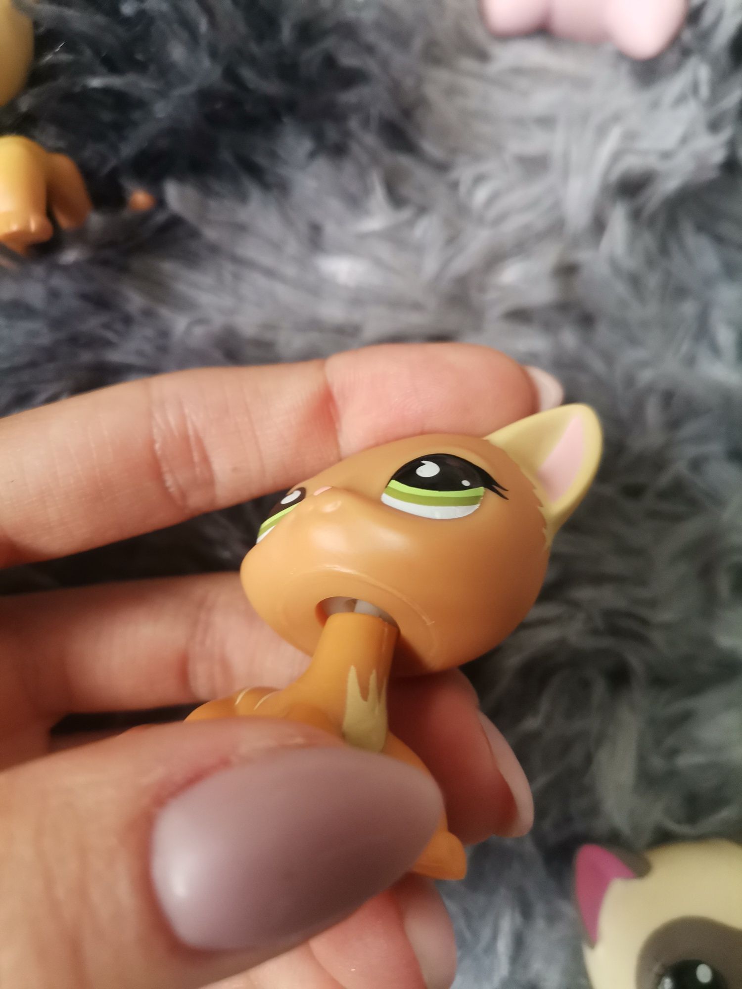 Pisici Shorthair Pisici Lps Littlest Pet Shop