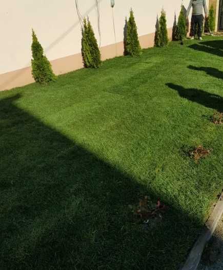 Gazonul Rulou Premium - Alegerea Perfectă pentru Grădina Ta!