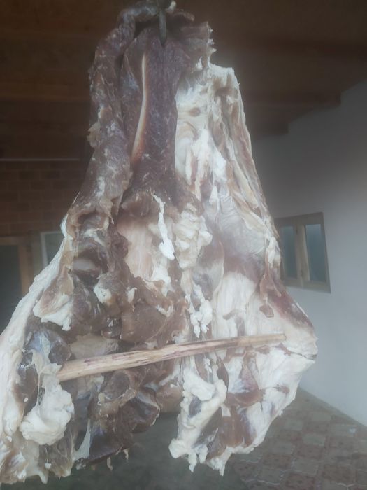 Vind 10 Oi   ,dau si la bucata