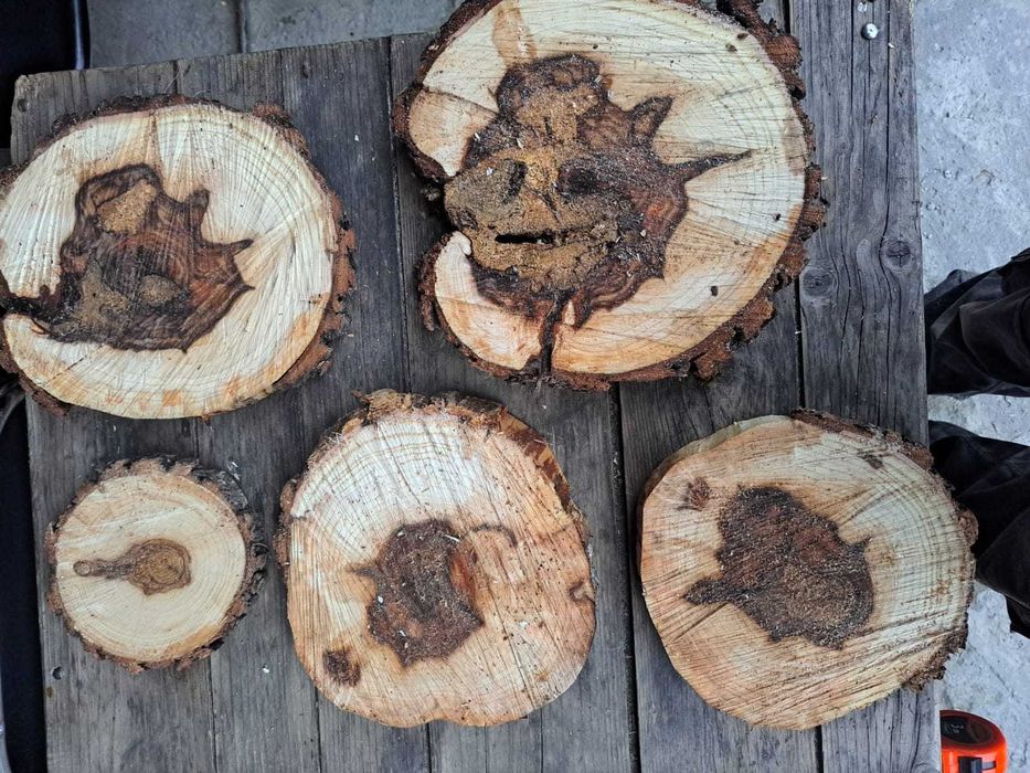 Rondele lemn, diverse mărimi / diverse specii / handmade / Natural