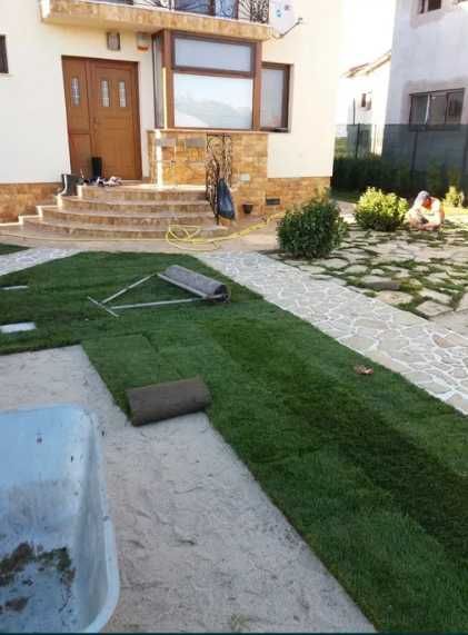 Transformare Rapidă cu Gazon Rulou și Irigare Modernă