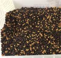 Premium HQ Mix Pellets 2 mm - Feeder