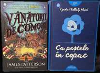 Doua carti pentru adolescenti(Vanatorii de comori+Ca pestele in copac)