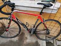 Cursiera Specialized