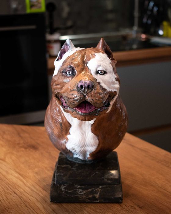 Фигура на Американски питбул