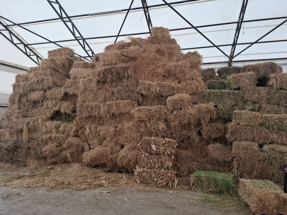 Vand baloti de lucerna