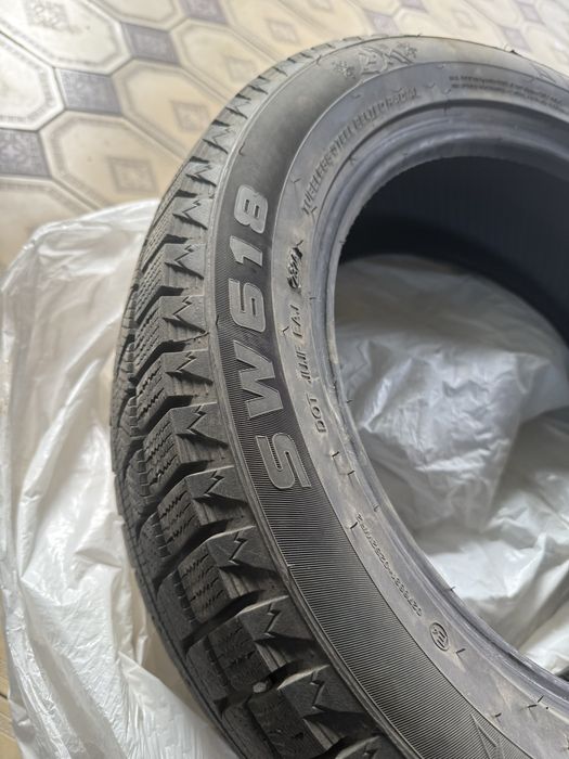 Зимный балон Goodride