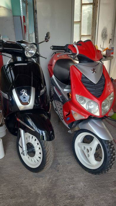 Peugeot speed fight 2 - cross -scuter