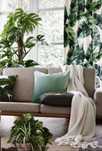 H&M Home завеси