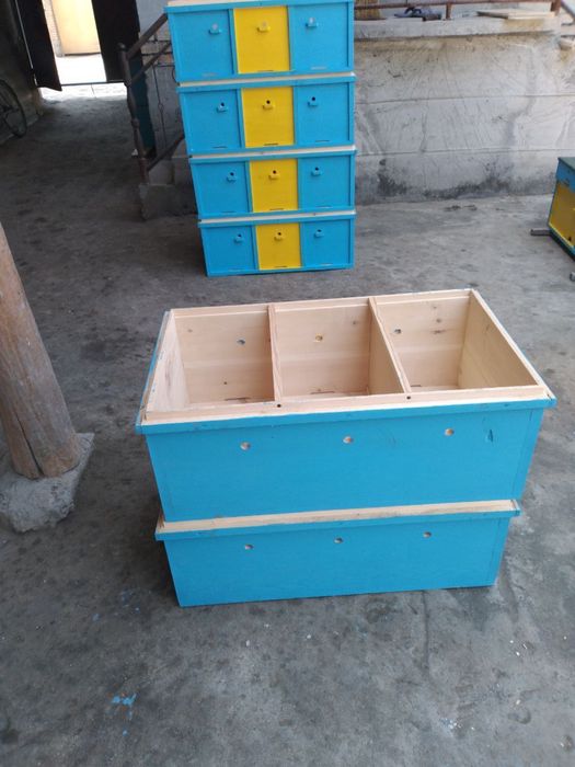 Asalari uyalari пчёл