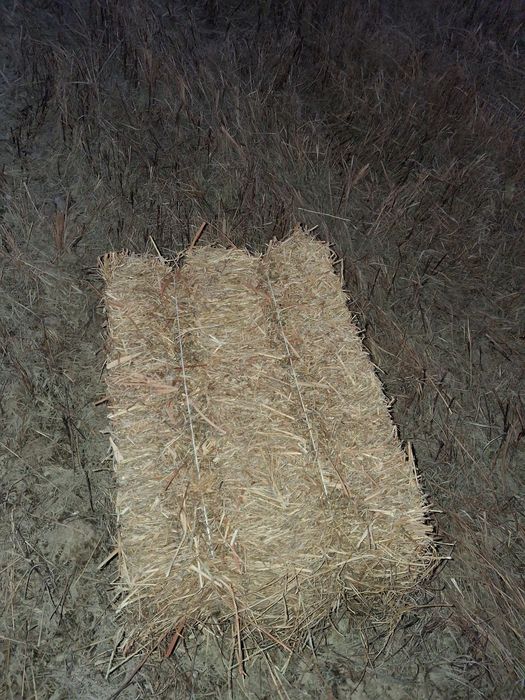 Прес шөп сатылады басынан 450 теңгеден жақсы әр түрлі шөп