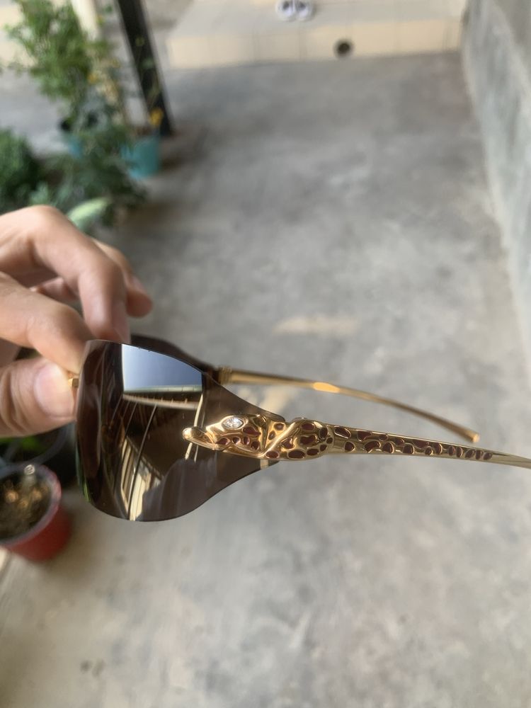 Cartier ochki (Pantera) Очки от Cartier (Пантера)