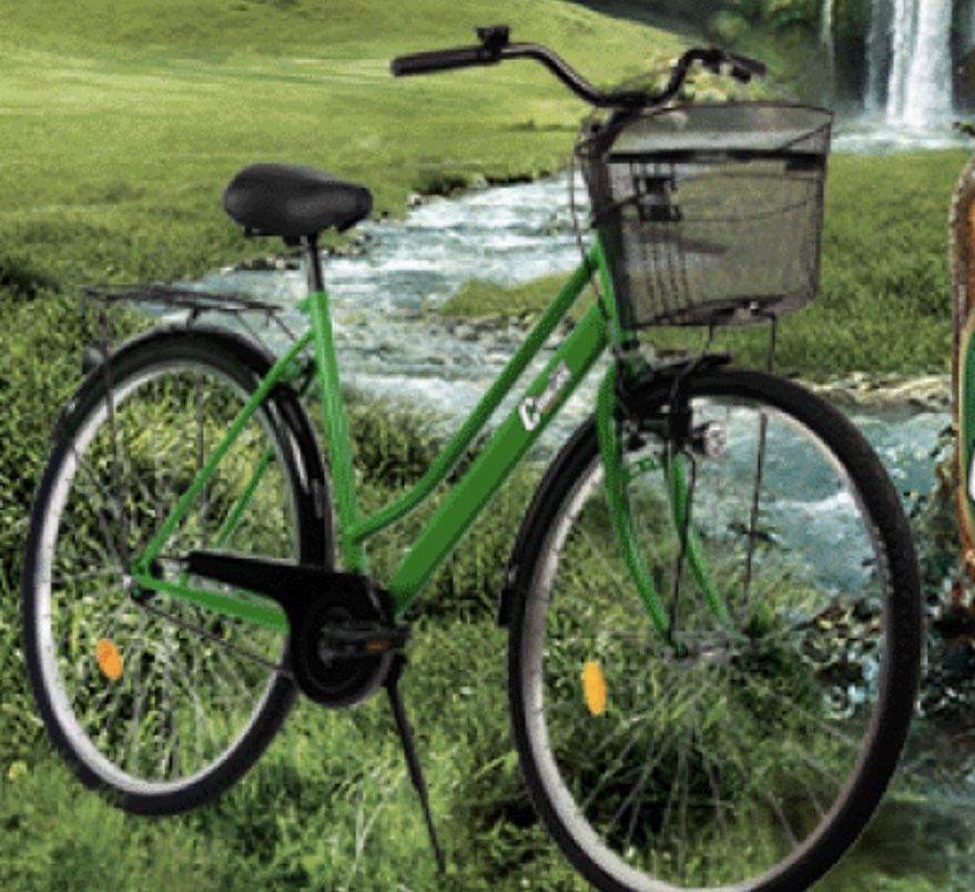 Biciclete diverse modele