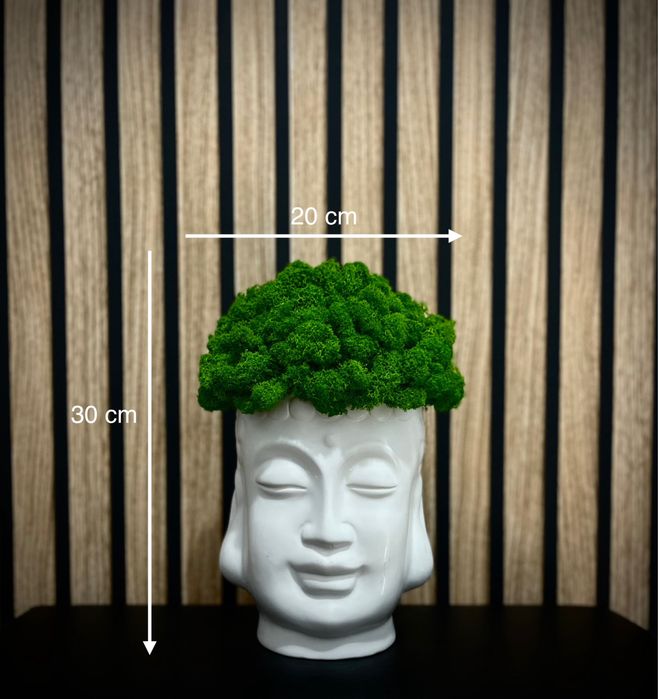 Decor natural premium din licheni stabilizați