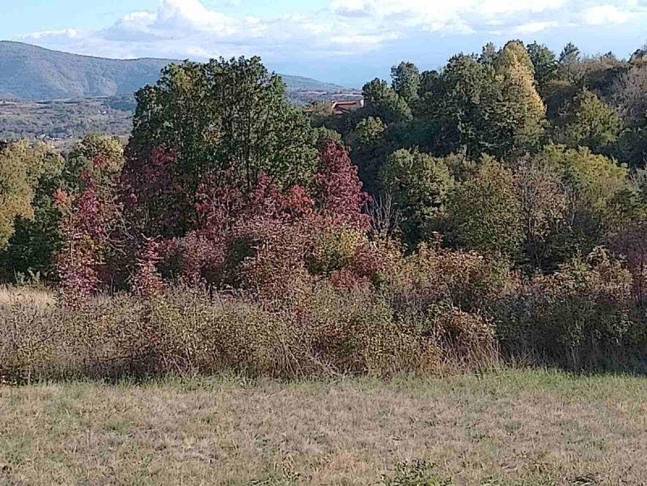 Продава се Парцел в Ябланица - 1635 кв.м за 9 €/кв.м - Снимка #6