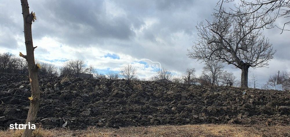 Teren intravilan in Manastirea Doamnei, S- 1300 mp