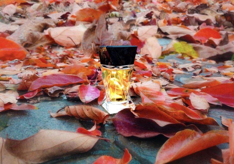 Масляные духи на разлив а также спиртовые: роскошь, доступная к