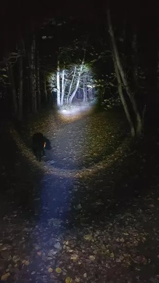 Lanterna cu Led XHP99 cu 9 nuclee,  Pescuit,  Vanatoare,  Camping