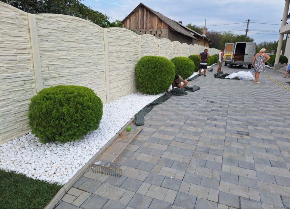 Copacii ornamentali plante ornamentale