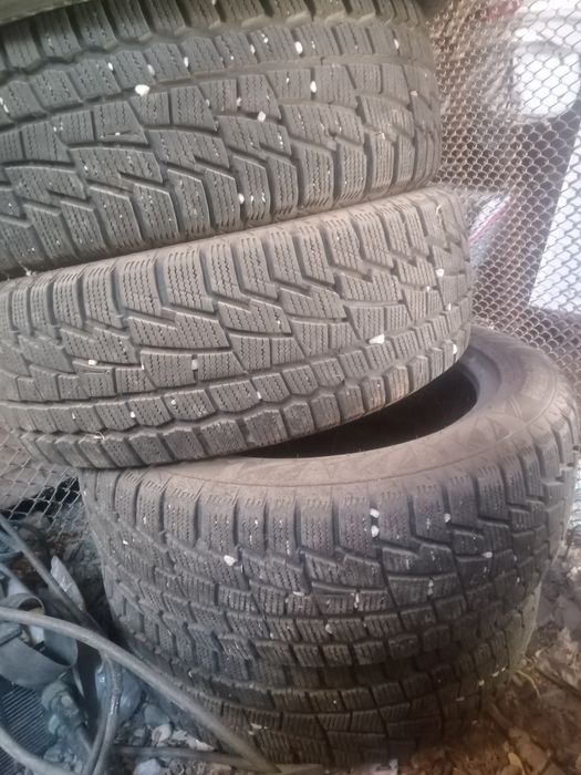 Зимняя резина кардиант 205-55-р16
