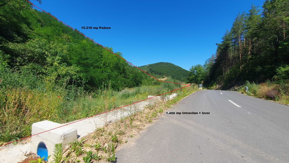1,7 Hectare Teren Casa Vacanta Dumbravita De Codru Muntii Codru Moma