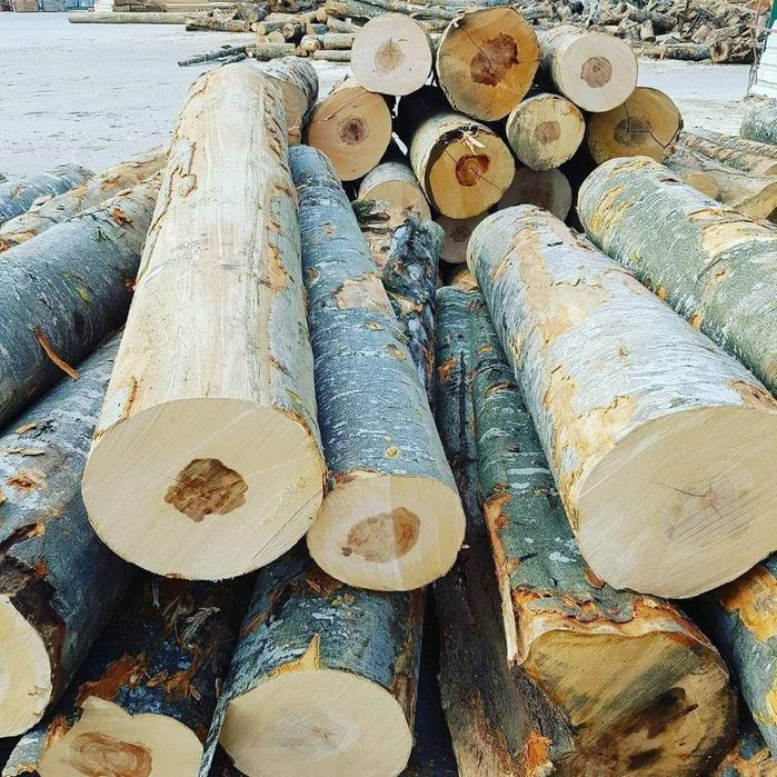 Depozit Lemne de foc si rumegus