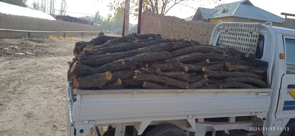 Ўрикўтин сотаман