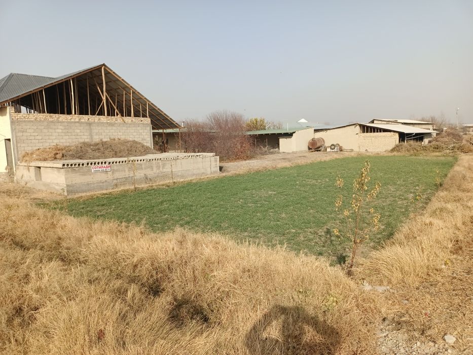 Ер участкаси тез ва арзон сотилади